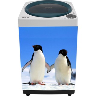 Miếng dán máy giặt - Hình chim cánh cụt