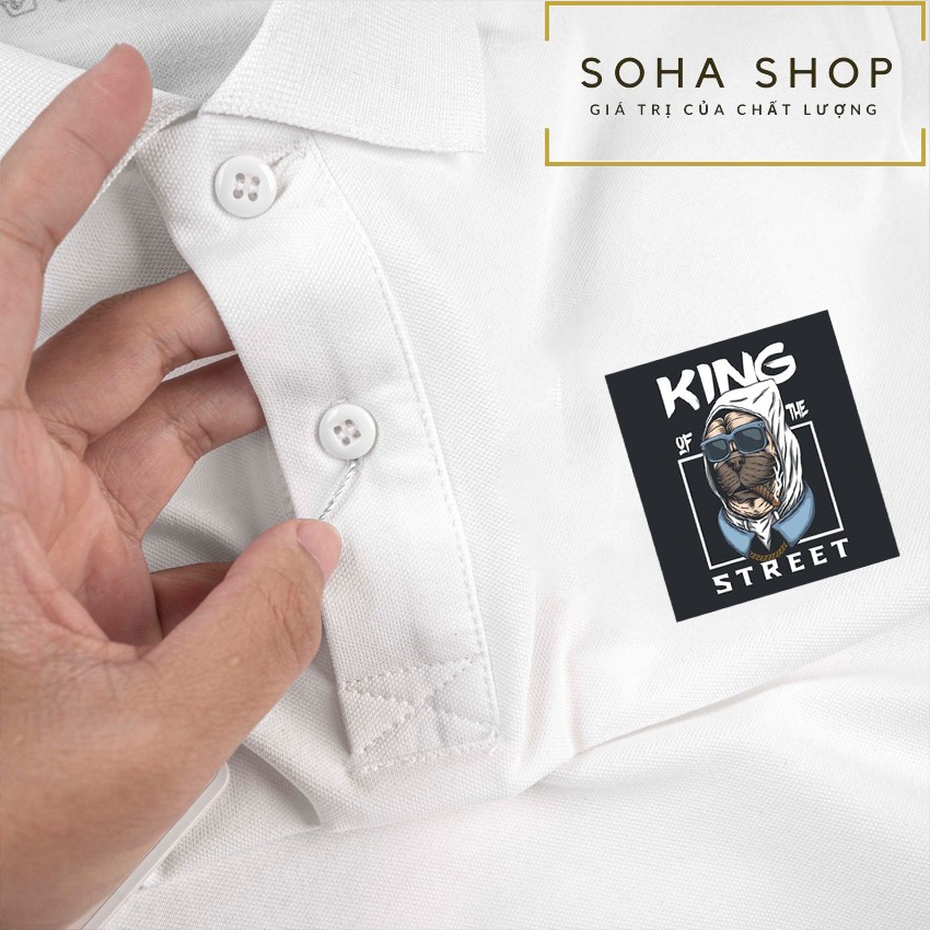 Áo polo nam , cổ dệt bo len ,áo thun nam có cổ tay ngắn thanh lịch POLO 02 - Soha Clothing