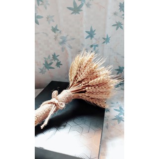 Bó hoa lúa mạch cầm tay vintage