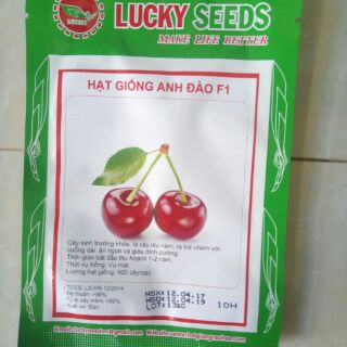 Hạt giống cherry F1
