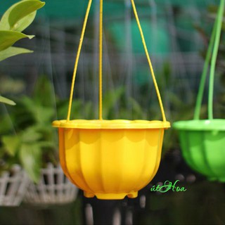 Chậu Treo Bông Bí Đủ Màu ( Nhựa 21x15cm)