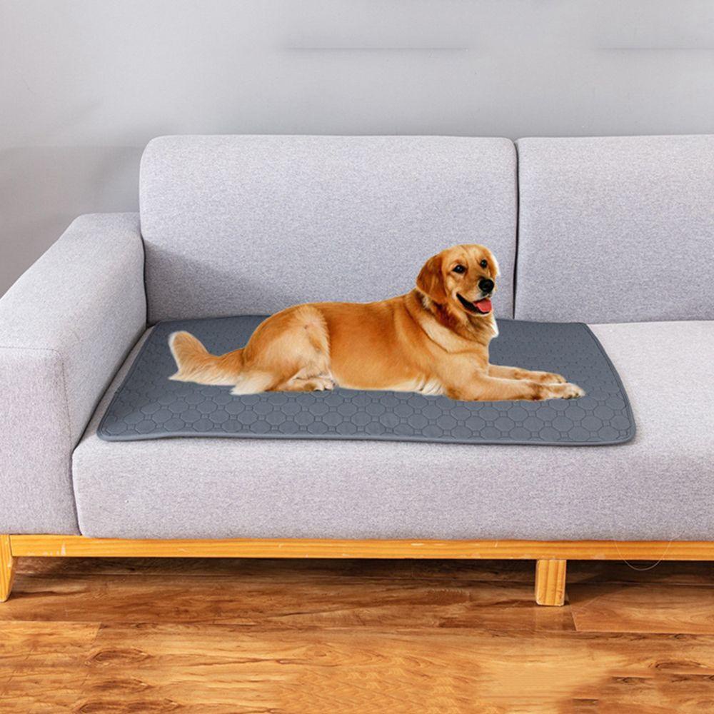 Thảm Lót Bồn Cầu Dày Dặn Chống Thấm Nước 5 Kích Cỡ Tùy Chọn Cho Thú Cưng