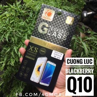 Kính cường lực BlackBerry Q10