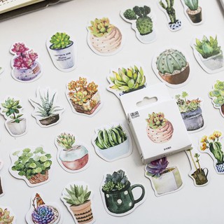 Hộp 50 Nhãn Dán Sticker Trang Trí Xương Rồng