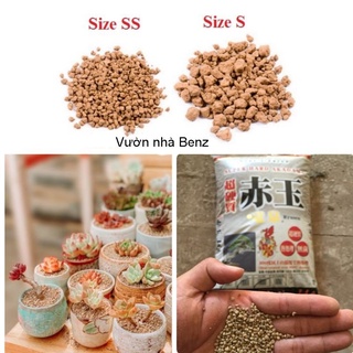 ĐẤT AKADAMA trồng Sen đá, xương rồng, tiểu cảnh terrarium, bể thủy sinh, bonsai