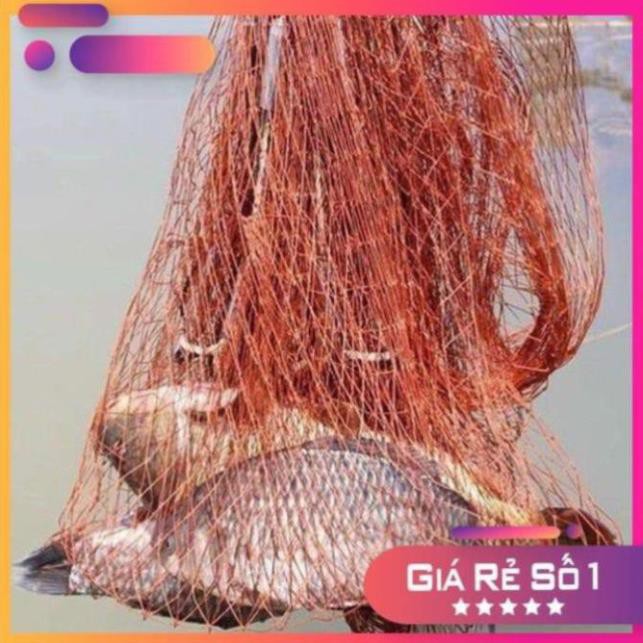 Chài ĐÁNH Cá BẰNG DÙ Cao Cấp Bung 10m Nặng 7kg Lưới Dù Thái Lan ( TẶNG DÂY 5M ) CHÀI QUĂNG CÁ BẰNG DÙ SIÊU BỀN