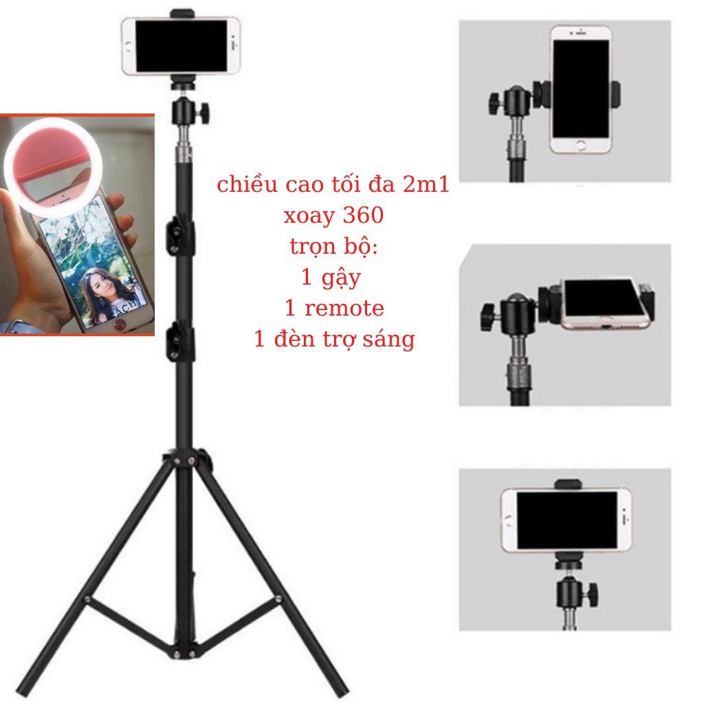 [Sỉ lẻ rẻ vô địch] Gậy 3 Chân Tripod TF 3120 Loại Xịn,Loại Tốt,Top City Chân Chắc Chắn(Tặng Kèm Đầu Kẹp Điện Thoại)