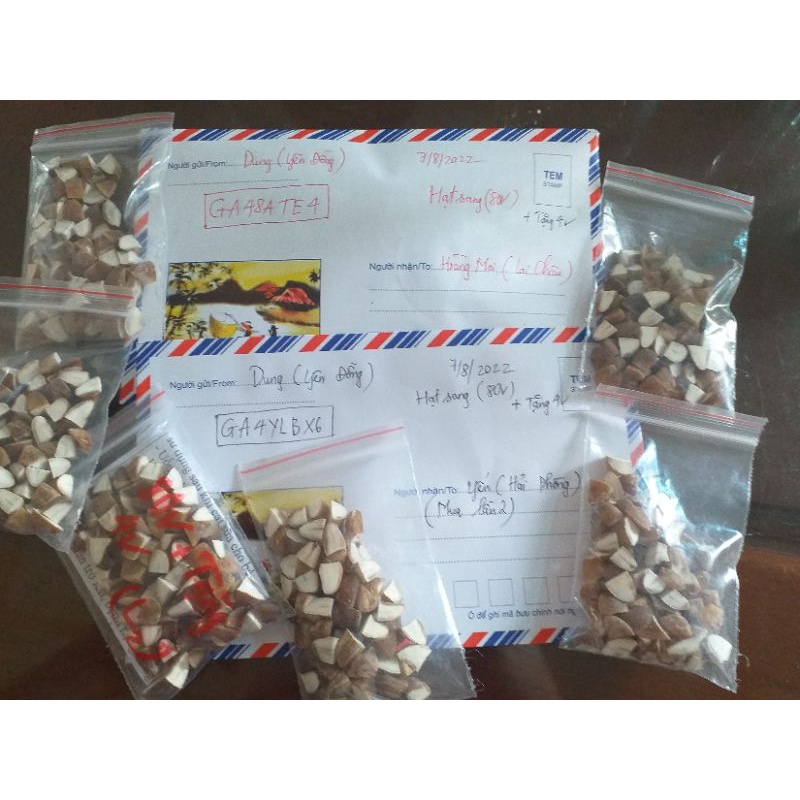 1 LIỆU TRÌNH  HẠT SANG CỦA NGƯỜI MÔNG