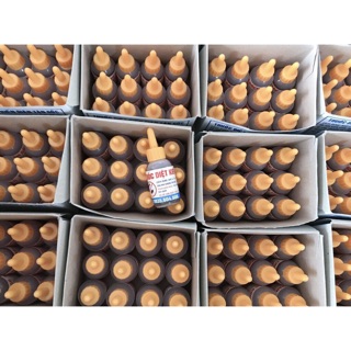 Combo 2 chai thuốc diệt kiến gián