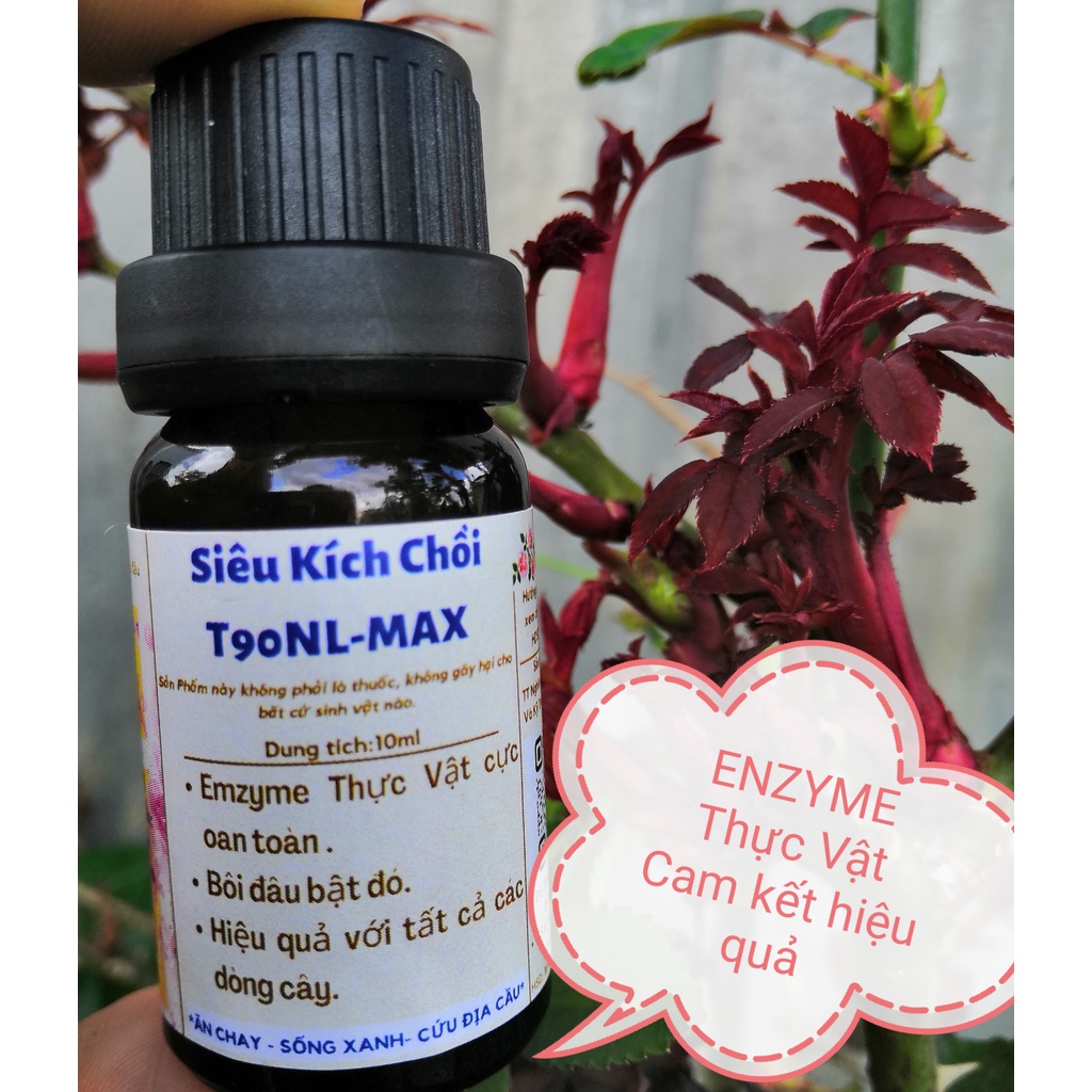 Siêu kích chồi T90 - NLmax 👍Enzyme Thực vật. kích chồi Mai vàng, bonsai, thân gỗ, hoa hồng, hoa lan