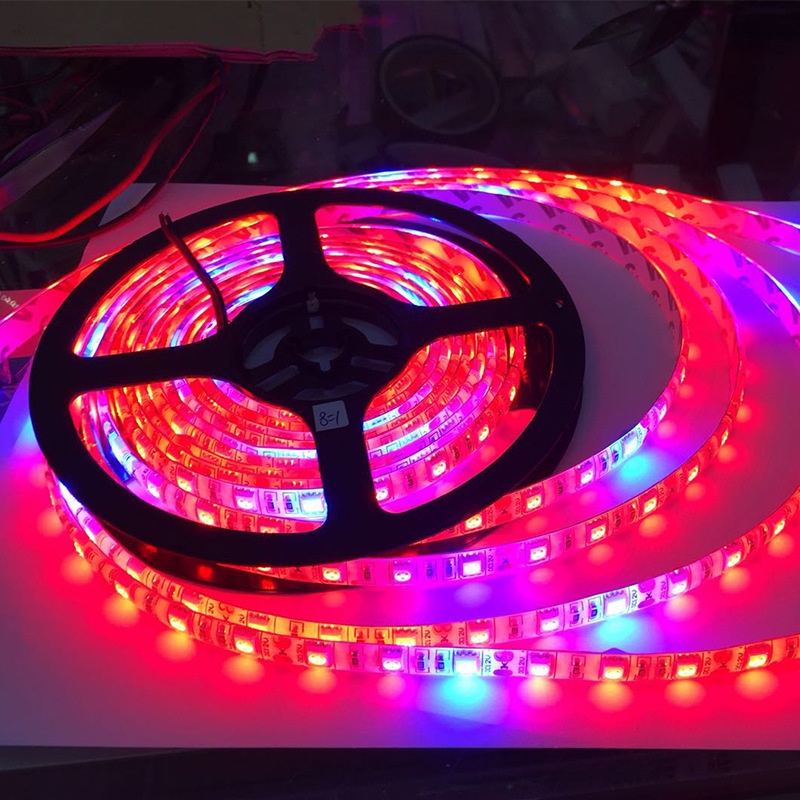 Đèn Led Tiktok 3m 5m RGB 16 Triệu Màu Điều Khiển Bằng Điện Thoại, Nháy Theo Nhạc