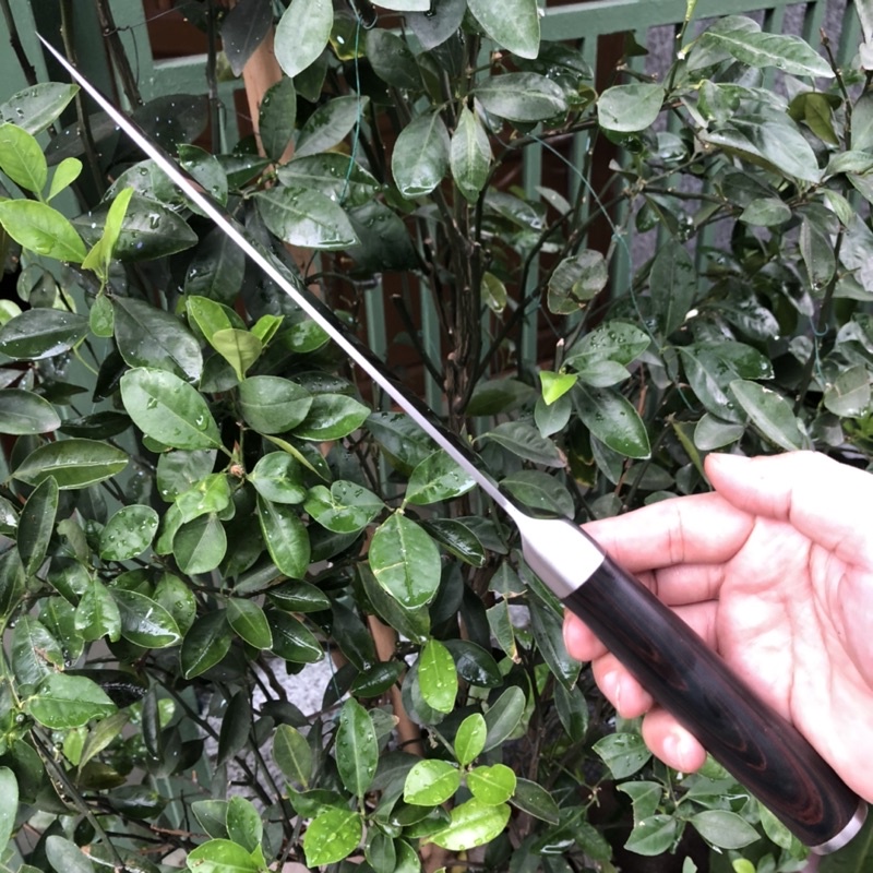 Dao thái Kai chính hãng dài 32cm, dày 2.5li, cán gỗ, không rỉ, fullbox