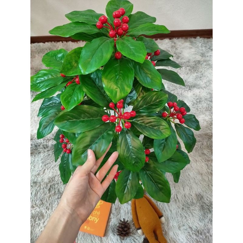 cây cherry (kim ngân lượng) cao 80cm - cây giả