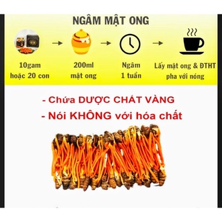 Đông trùng hạ thảo sấy khô sấy lạnh sấy thăng hoa