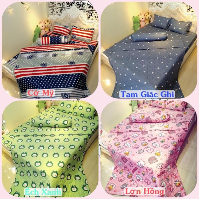 Bộ Chăn Ga Gối Hè Cotton Poly  5 Món , sét 5 món cotton poly hè nhiều mẫu lựa chọn may drap miễn phí theo yêu cấu | BigBuy360 - bigbuy360.vn