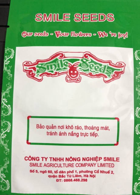 Hạt giống Húng bạc hà  ☘️