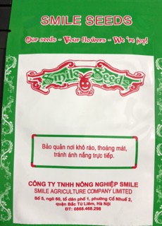 Hạt giống Húng bạc hà (húng lủi) ☘️