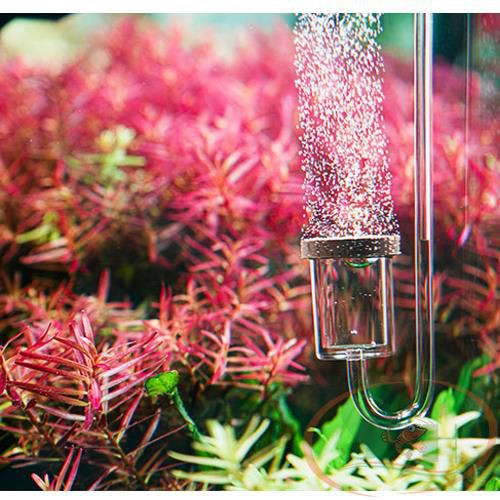 Đầu Sủi Co2 Siêu Mịn Aquario Neo Co2 Diffuser Original Extend