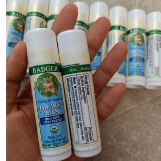 Lăn muỗi và côn trùng cắn Badger