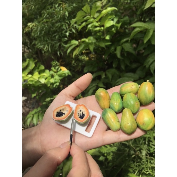 Đu đủ thu nhỏ bằng đất sét