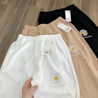 Quần đũi hoa cúc bo gấu hót