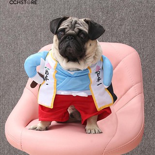 Đồ hoá trang phong cách samurai độc đáo cho thú cưng nhỏ
