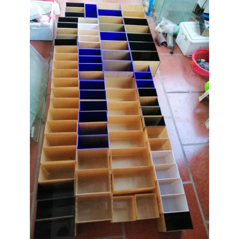 Hồ show mica guppy và benta siêu trong chất liệu acrylic