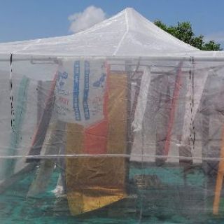 Lồng nuôi cào cào 5x4x2