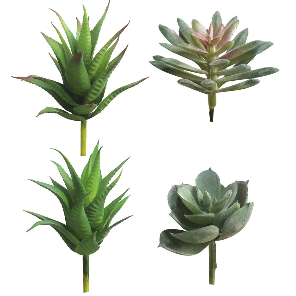 Cây mọng nước giả trang trí nhà cửa/ quán cafe DIY