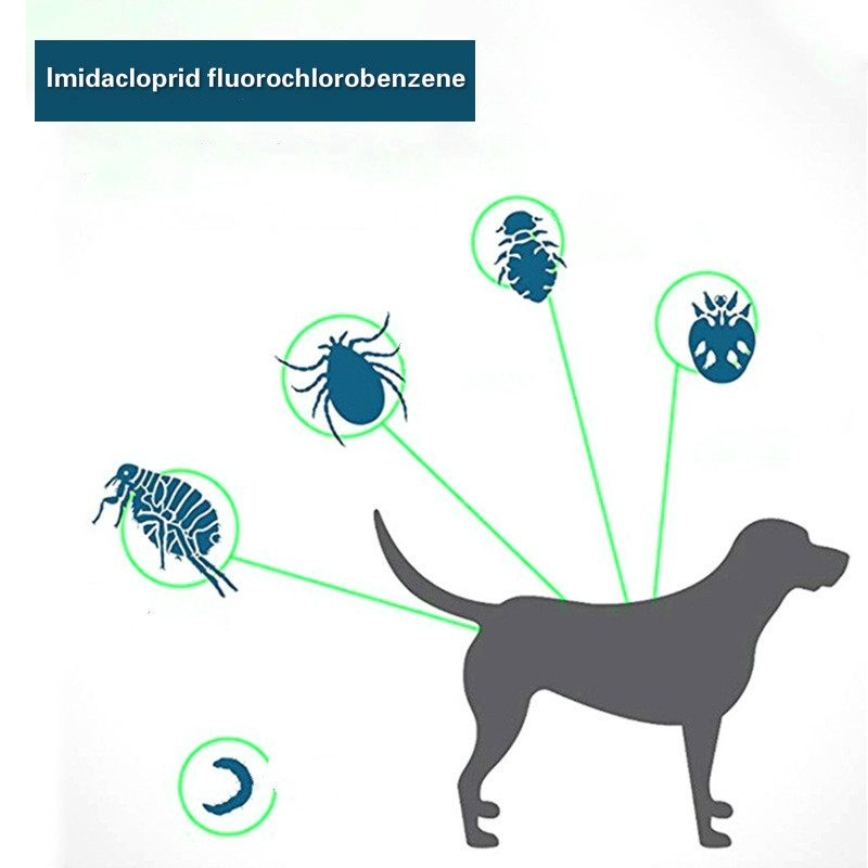 Cat Chice Repellent Cổ áo có thể được điều chỉnh Thú cưng