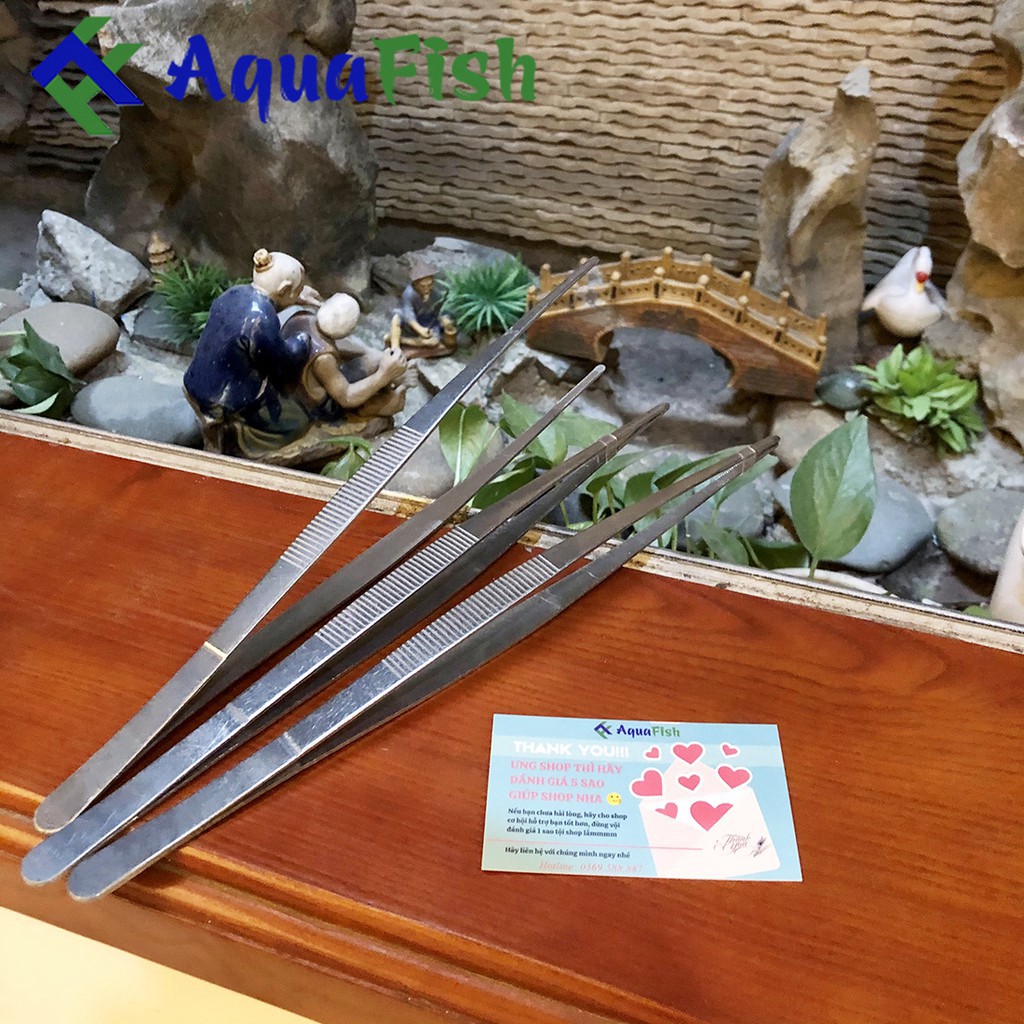 Kẹp Nhím Trồng Cây Thủy Sinh