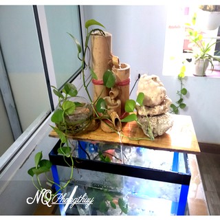 Thác nước phong thủy tre -M04