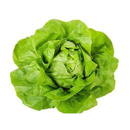 Hạt Giống XÀ LÁCH BÚP HN-10 (2 Gr)