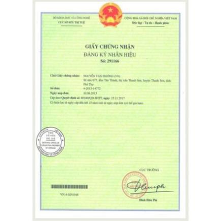 COMBOR 4 ỐNG NỨA THỊT CHUA TRƯỜNG FOODS ĐẶC SẢN VIỆT MIỀN ĐẤT TỔ PHÚ THỌ | BigBuy360 - bigbuy360.vn