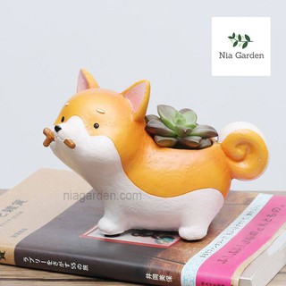 Chậu chó Corgi ngậm que trồng cây cảnh để bàn - chậu hình thú