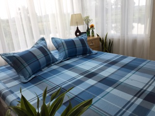 Bộ ga gối cotton alnena