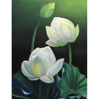 Tranh 5d gắn đá toàn bộ - Bông sen trắng