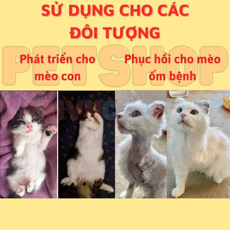 Vitamin B cho chó mèo và thú cưng nhỏ, tăng đề kháng, bổ và giải độc gan, chống lại viruss, nấm