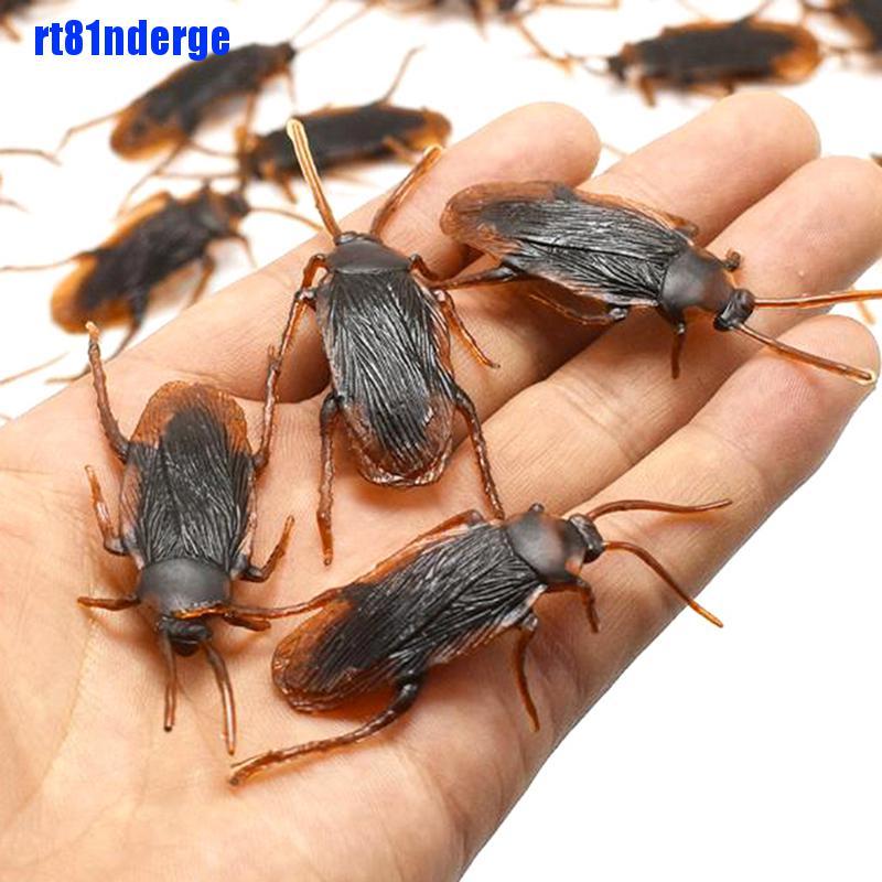 Set 10 Con Gián Giả Bằng Cao Su Dùng Để Trang Trí