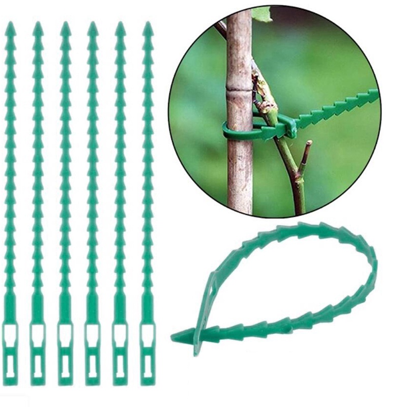 Bộ 10 Dây Nhựa Hỗ Trợ Trồng Cây Có Thể Điều Chỉnh Và Tái Sử Dụng