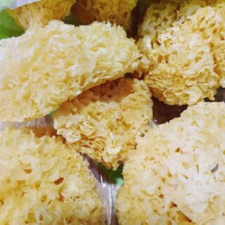 Ngân Nhĩ (Tuyết Nhĩ)