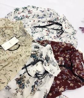 👚SƠ MI VOAN LỤA - CỔ THẮT NƠ