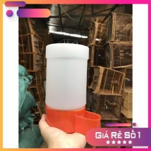 Bình đựng nước cho bồ câu, chim, thú cưng, gà, vịt