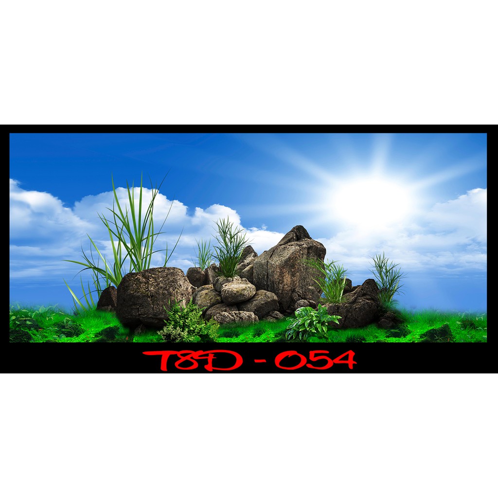 Tranh 3D bể cá mã T8D-054 kt (60,80,90,100,1m2,1m5,1m6)