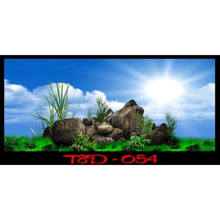 Tranh 3D bể cá mã T8D-054 kt (60,80,90,100,1m2,1m5,1m6)