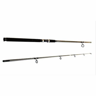Cần Câu 2 khúc shimano Bifish 2M7