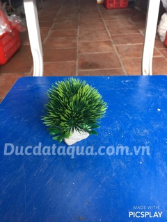 Cây hoa cỏ nhựa cao cấp