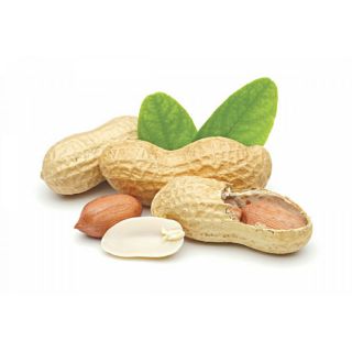 ĐẬU PHỘNG DA CÁ NƯỚC CỐT DỪA THƠM NGON 🥜🥜