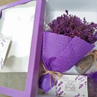 Hộp quà hoa sao khô