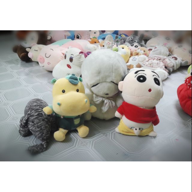 Compo gấu được chọn